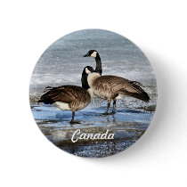 Spring Geese Button