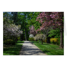 Spring Greeting Card