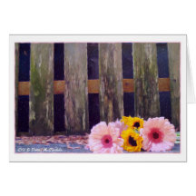 Spring Greeting Cards