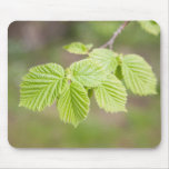 Spring hazel tree twig and leaves mousepad