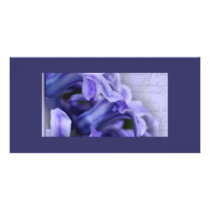 Spring Hyacinths Photo Card