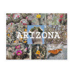 Spring in Arizona Postcard