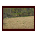 ~ Spring in Lancaster County ~ 5 Post Cards