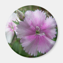 Spring In Maine Magnet