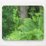Spring In Maine Mouse Mat