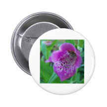 Spring In Maine Pinback Button