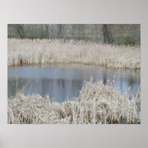 Spring in Minnesota Print