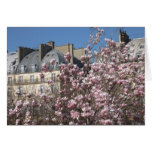 Spring in Paris cards