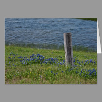 Spring in the Country note card cards