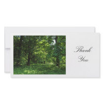 Spring in the Woods 01 - Thank You Picture Card