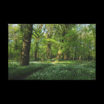 Spring in the Woods, Bute Park, Cardiff impressions sur toile