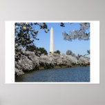 Spring in Washington, DC Posters