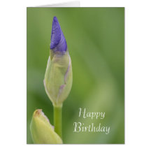 Spring Iris Greeting Cards