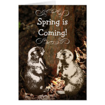 Spring is Coming Groundhogs Greeting Card