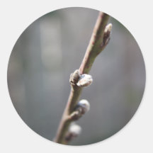 Spring is Coming Sticker