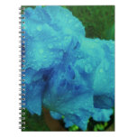 Spring is here Notebook