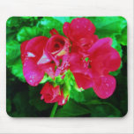 Spring is in th air mouse pads