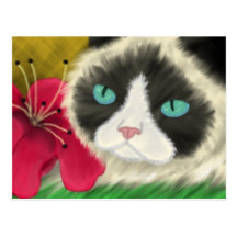 Spring Kitty Postcard