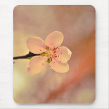 Spring macro flower mouse pads