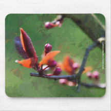Spring Mouse Pads