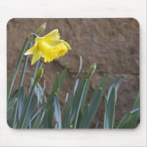 Spring! Mousepad