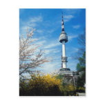 Spring, Namsan Tower, Seoul, South Korea Post Cards