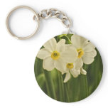Spring Narcissus (Daffodil) Flower Photograph