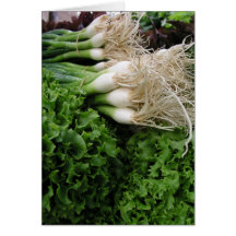 Spring onions and lettuce greeting card