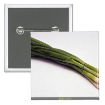 Spring onions pinback buttons