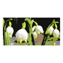 Spring Peel Photo Cards