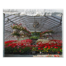 Spring Photographic Print