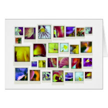 spring polaroids greeting card