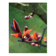 Spring Post Cards
