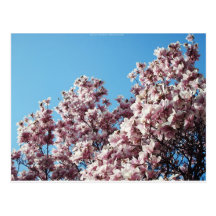 spring postcards