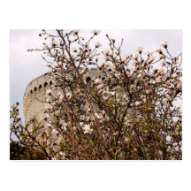 Spring Postcards