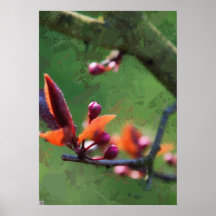 Spring Poster