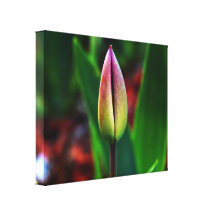 Spring Pride Canvas Canvas Print