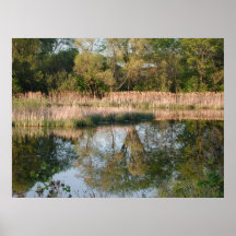 Spring Reflection Print