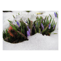 Spring Returns ~ ATC