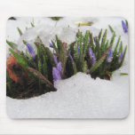 Spring Returns ~ mousepad