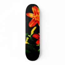 SPRING RIDE SKATEBOARD