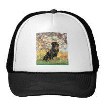 Spring - Rottweiler (#5) Mesh Hat
