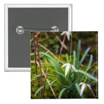 Spring Snowdrop Flowers buttons
