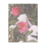 SPRING SNOWS by SHARON SHARPE postcards