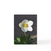 Spring Thanks Cards