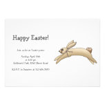 Spring Things · Brown Bunny Custom Invitation