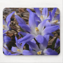 Spring time blue ~ mousepad