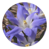 Spring time blue ~ sticker