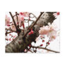 Spring Time Postcard