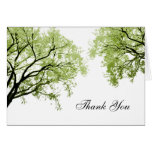 Spring Trees 2 - Thank You Card cards